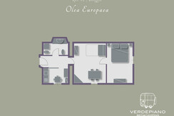 Piantina Apt.#2 | Alloggio Olea Europea