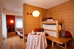 Innsbruck- tirolean room