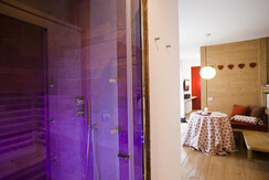 Innsbruck - tirolean room