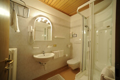 HOTEL VIOZ BAGNO CAMERA CLASSIC