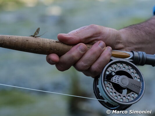 Ph. Marco Simonini-30828