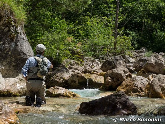 Ph. Marco Simonini-31100