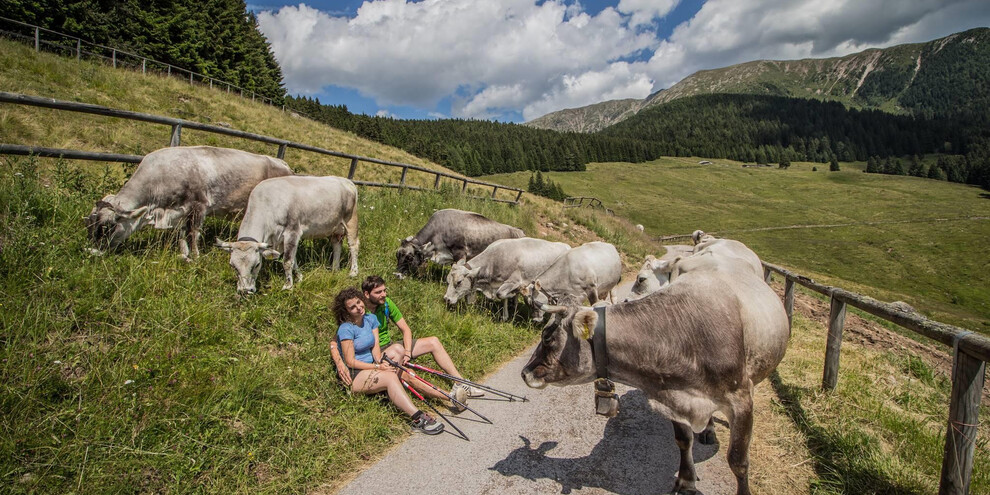 Nel cuore del Lagorai