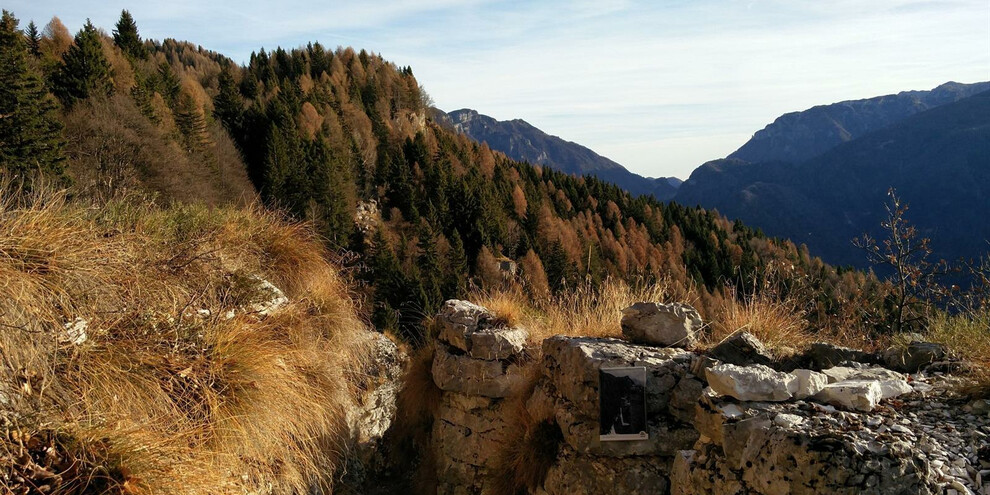 Trentino - foliage