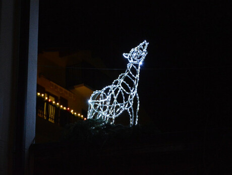 Feast of Saint Lucia and the light sculptures