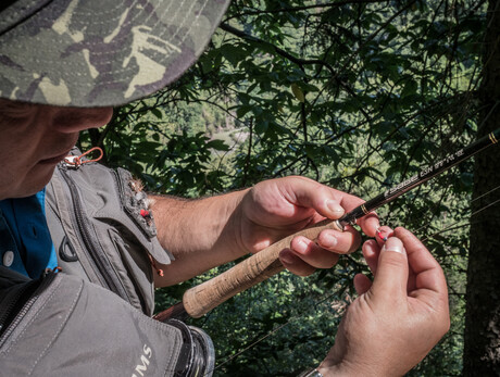Meisterschaft im Gesellschaftsfischen