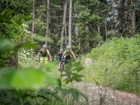 3° Piné Bike Cross Country