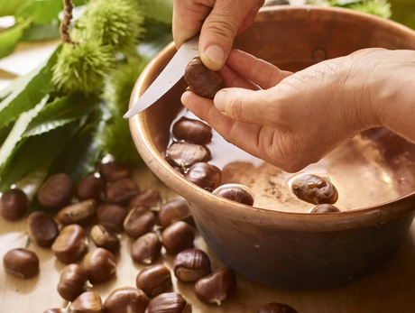 Festival of the Marrone del Chiese