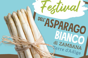 Zambana White Asparagus Festival