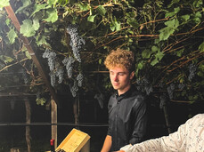 Wine under the stars