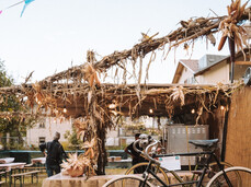 Antiche Terre - Ancient Lands