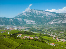 Tra le Montagne - Il Giardino del Vino più bello d’Europa