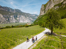 Tra le Montagne - Il Giardino del Vino più bello d’Europa