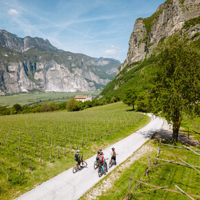 Tra le Montagne - Il Giardino del Vino più bello d’Europa