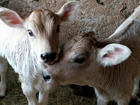 Benvenuti in Fattoria