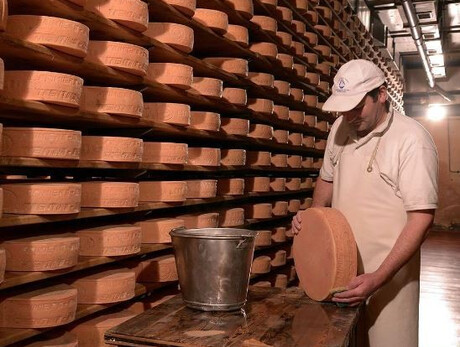 Visita al Caseificio