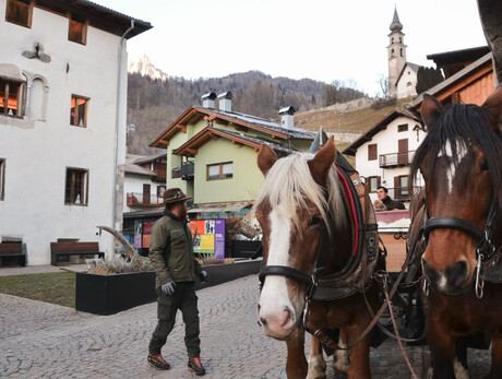 In Carrozza con Gusto