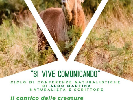 Il cantico delle creature