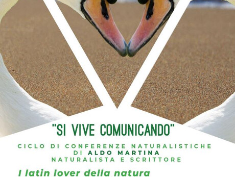 I latin lover della natura