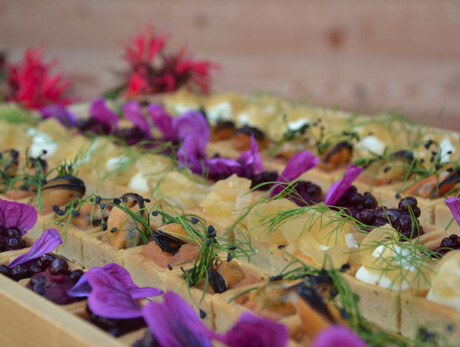 Finger Food dai Monti al Mare - Nuova Edizione