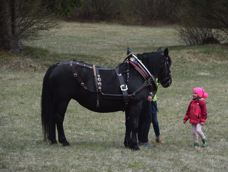 Assaggio di Primavera in Val Canali