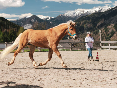 Festa Country Dalaip