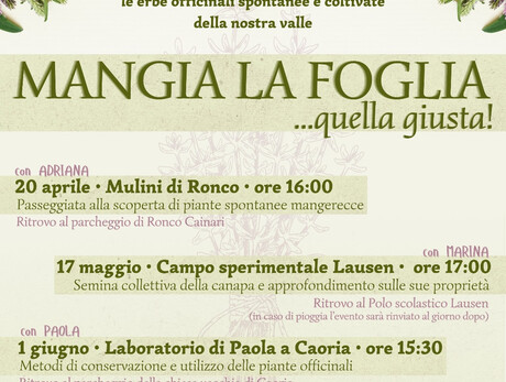 Mangia la Foglia.. Quella Giusta!