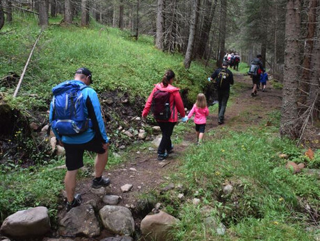 Passeggiando nella Foresta che Suona