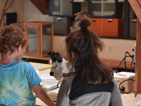 Il Parco al Microscopio