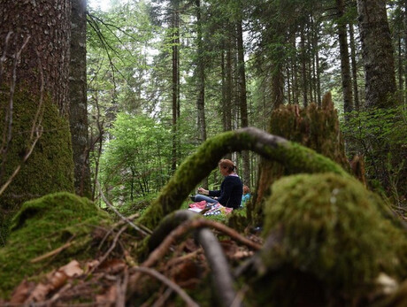 Carta Natura: Boschi e Paesaggi Naturali