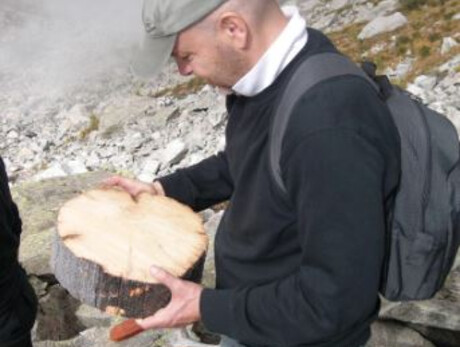 Storie Scritte nel Legno