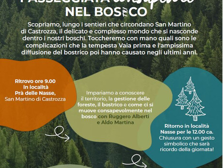 Passeggiata Consapevole nel Bos(tri)co