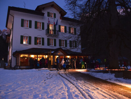 Gufi, Civette e Stelle