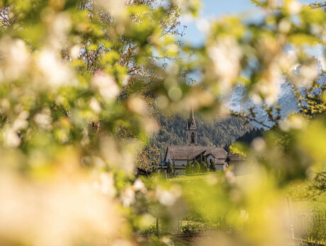 Fiere e Colori di Primavera