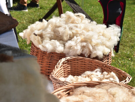 Appuntamenti in Villa 