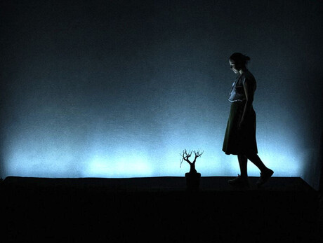 "Una Riga Nera al Piano di Sopra"