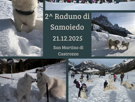 2° Raduno Samoiedo & Co.