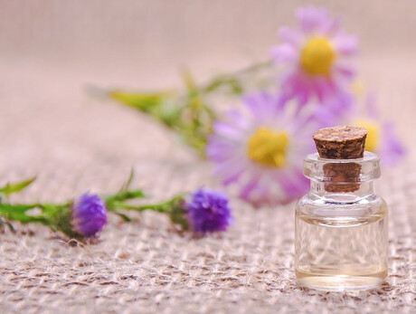 Petali di cinema e benessere