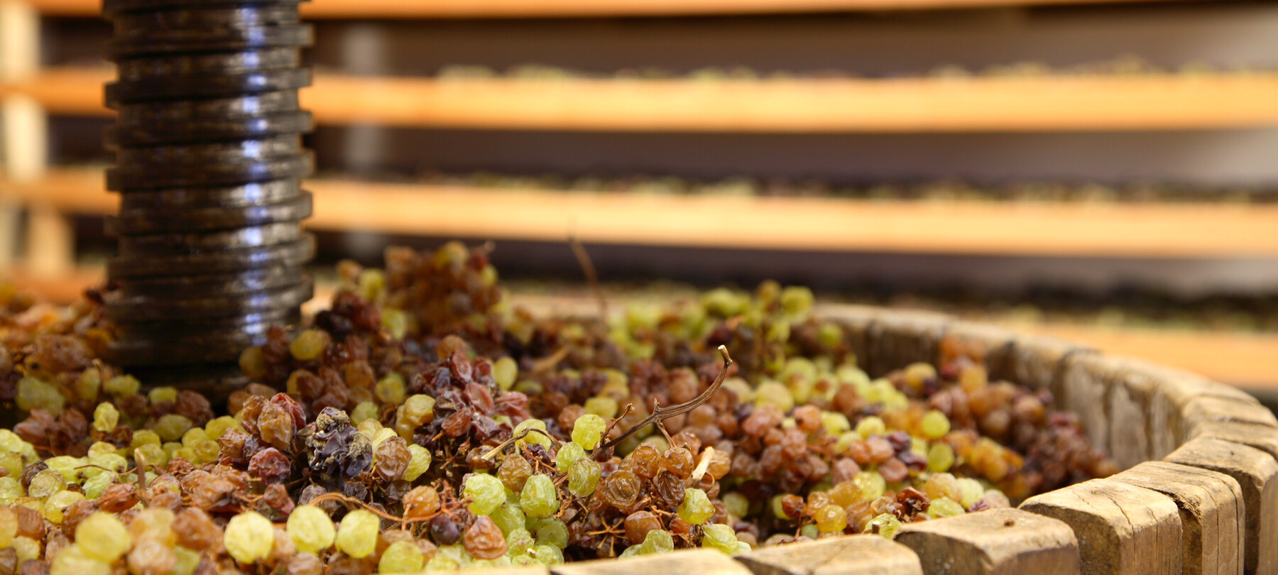 Vino Santo: místní víno ze sušených hroznů