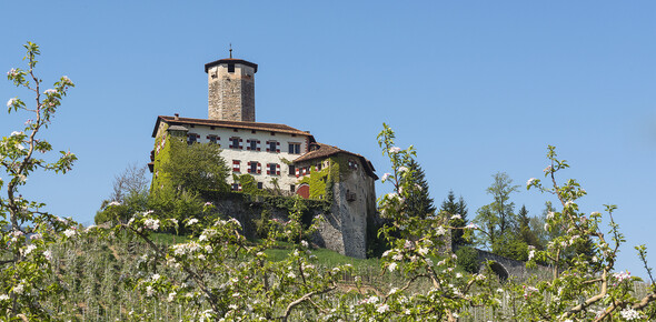 Arte e Cultura in Trentino - Val di Non | © Castel-Valer-Apt-Val-di-Non