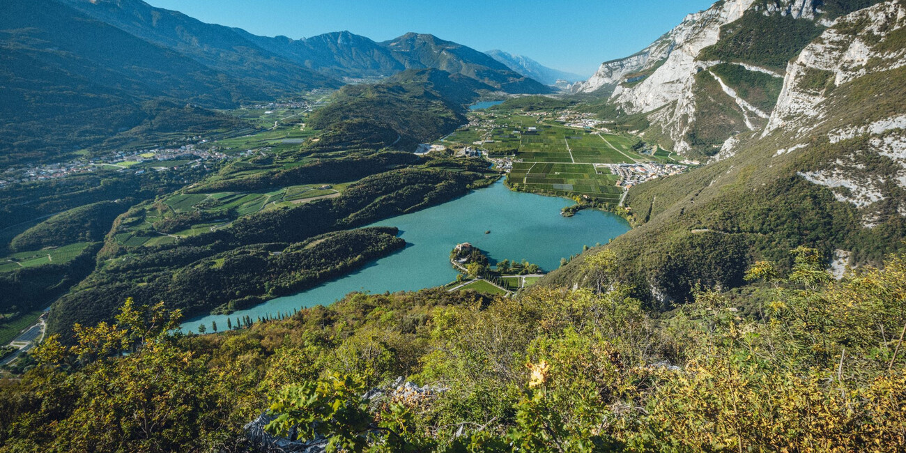 SPRING BREAKS IN THE VINEYARDS #1