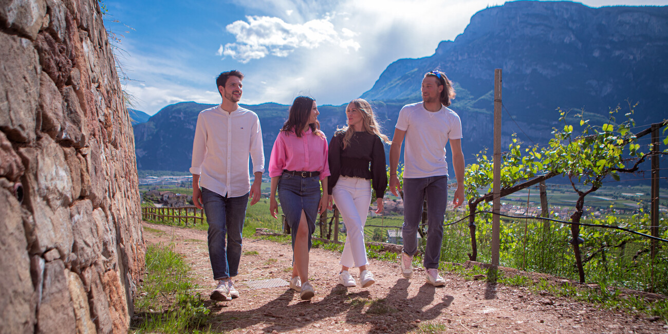 SPRING BREAKS IN THE VINEYARDS #2