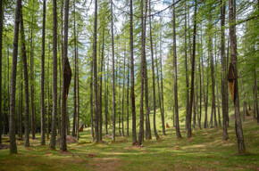  Mediterranean flair and peaceful mountain magic 