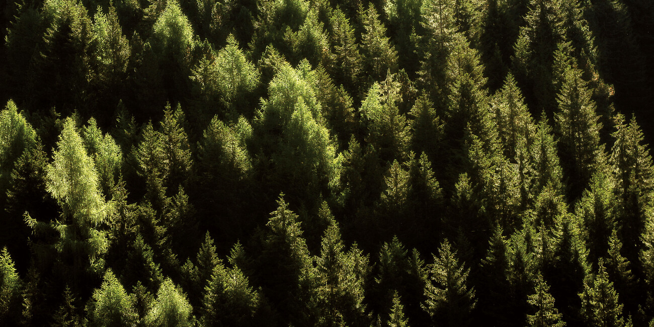 „Remise en forme“ - im Frühling wieder zu sich finden  #8