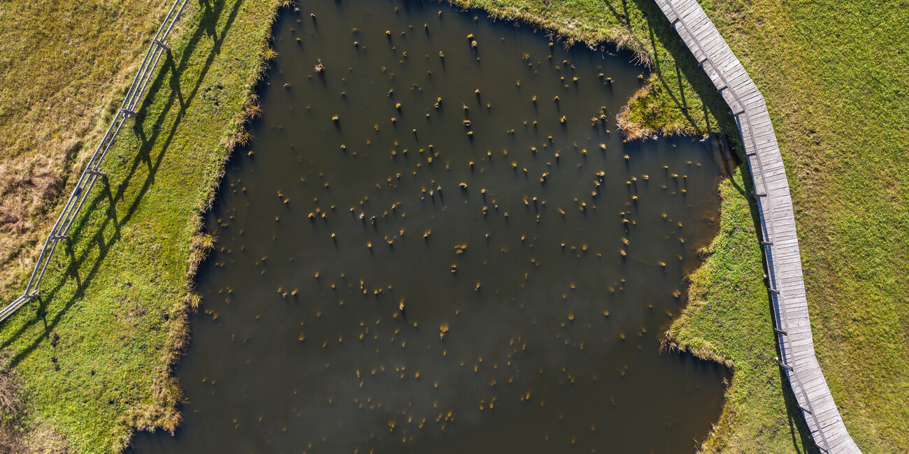 TRENTINO’S PREHISTORIC VILLAGE BETWEEN LAND AND WATER #2