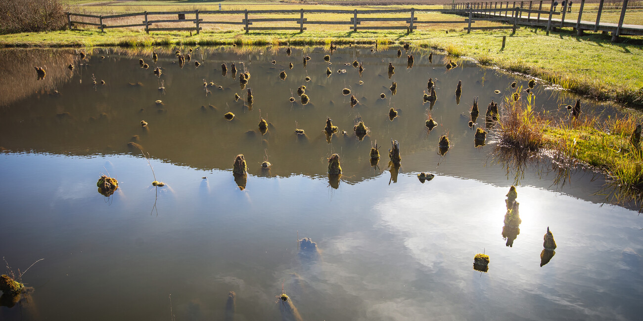 TRENTINO’S PREHISTORIC VILLAGE BETWEEN LAND AND WATER #4
