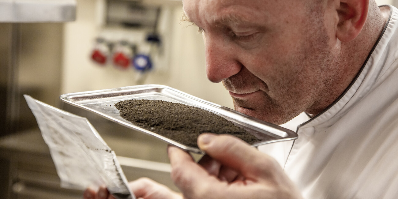 Альфио Гецци #3