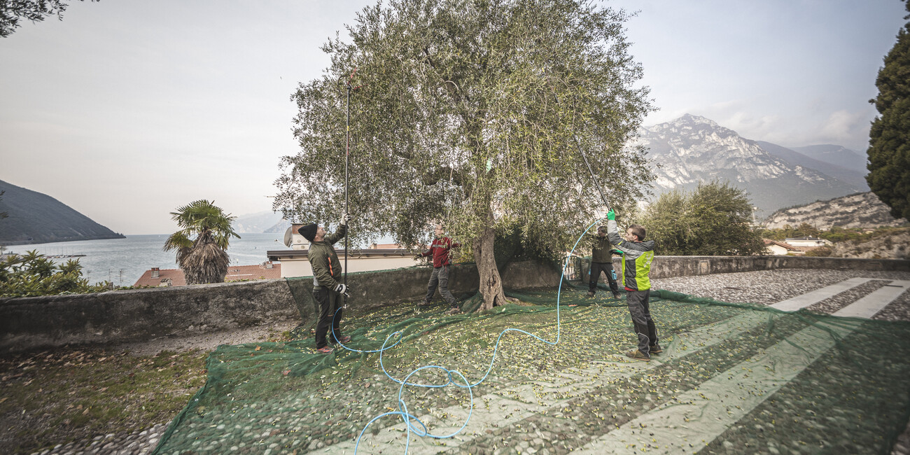 Schönheit aus dem Trentino #1