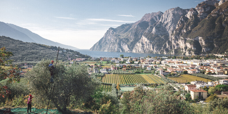 Schönheit aus dem Trentino #3
