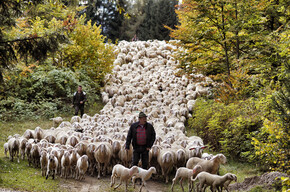 September und Oktober: drei Wochenenden voller Programm DIE HERBSTFESTIVALS IN TRENTO UND ROVERETO